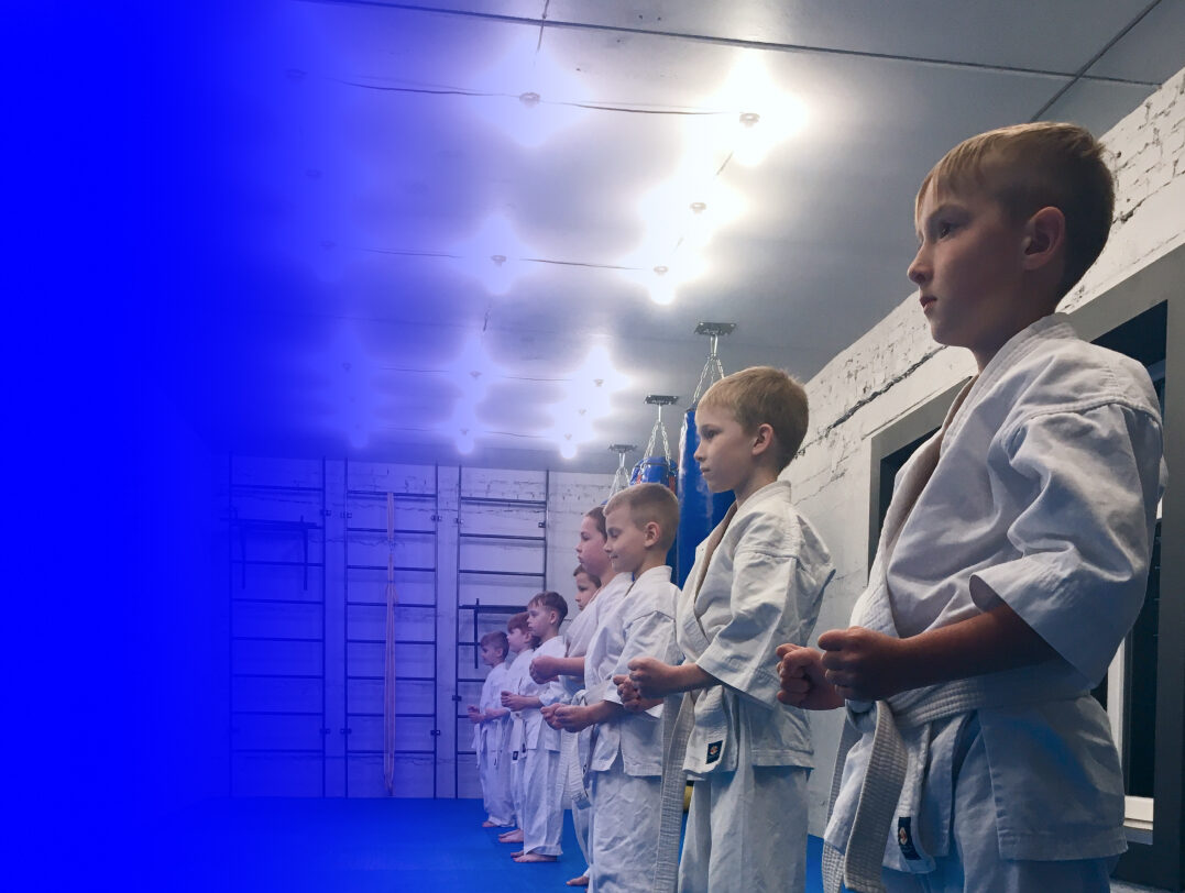 ШКОЛА БОЙОВИХ МИСТЕЦТВ — DOJO